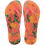 TROPICAL CORAL