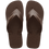 Dark Brown/Dark Brown