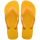 Yellow Pop