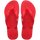 Ruby Red
