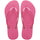 Pink Flux/Pink Flux