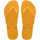 Yellow Pop