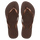 Dark Brown Metallic
