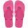 Pink Flux/Pink Flux