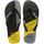 Citrus Yellow/Black
