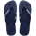 Navy/Navy/White