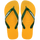 Yellow Pop