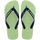 Citronella
