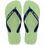 Citronella