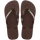 DARK BROWN/WHITE