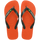 Sunset Orange