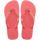 Tropical Coral
