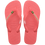 Tropical Coral