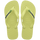 Matcha Green