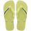 Matcha Green