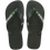 Green Olive