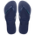 Navy/Navy