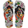 Multi