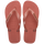 CANYON CLAY