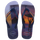 Navy Blue/Navy Blue/Begonia Orange