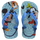 BLUE/BRILLIANT BLUE