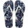 Navy/Navy/White