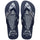 Navy/White