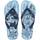 Lavender Blue