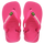 Pink Flux/White