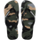 Green Olive