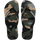 Green Olive