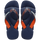 Navy/Navy/White