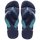 Marine/Blue Nautico