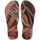AMARANTH