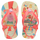 BUTTERCREAM/CORAL