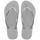 Ice Grey