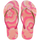 BLOSSOM/PINK FLUX