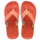 Ceramic