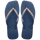Indigo Blue