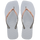 Ice Grey