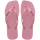 ROSE CHIFFOM