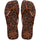 Rust/Rust