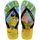 Multi