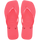 TROPICAL CORAL