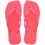 TROPICAL CORAL