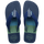 Indigo Blue