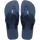 Indigo Blue