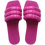 Rose Gum