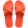Sunset Orange