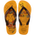 Yellow Pop